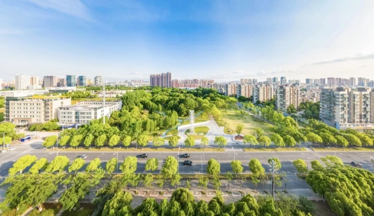 三地“再牽手”，書寫區域一體化新篇章